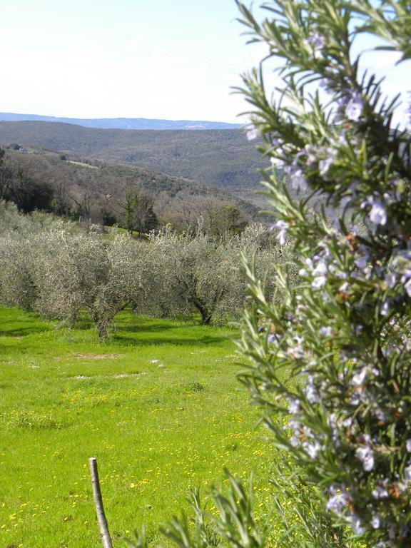 Agriristoro Podere S. Andrea マッサ・マリッティマ エクステリア 写真
