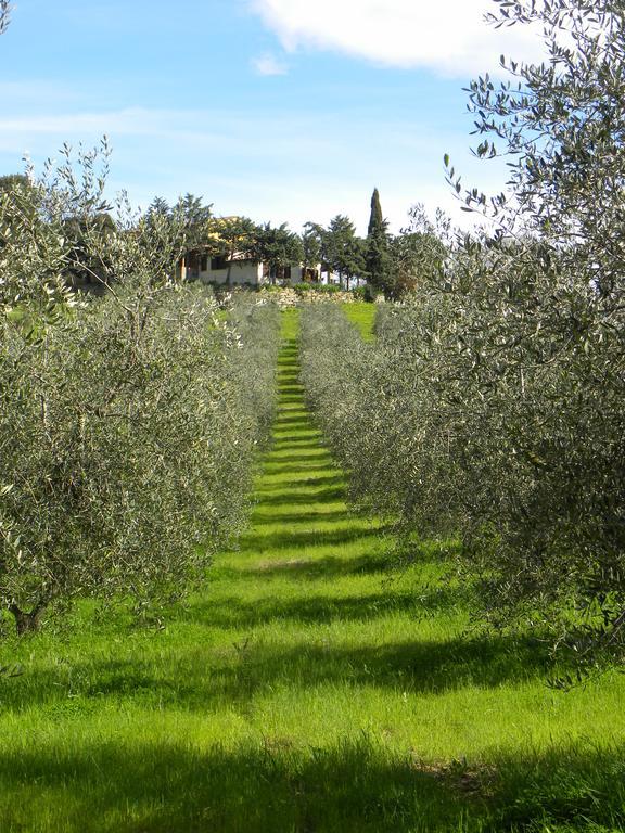 Agriristoro Podere S. Andrea マッサ・マリッティマ エクステリア 写真
