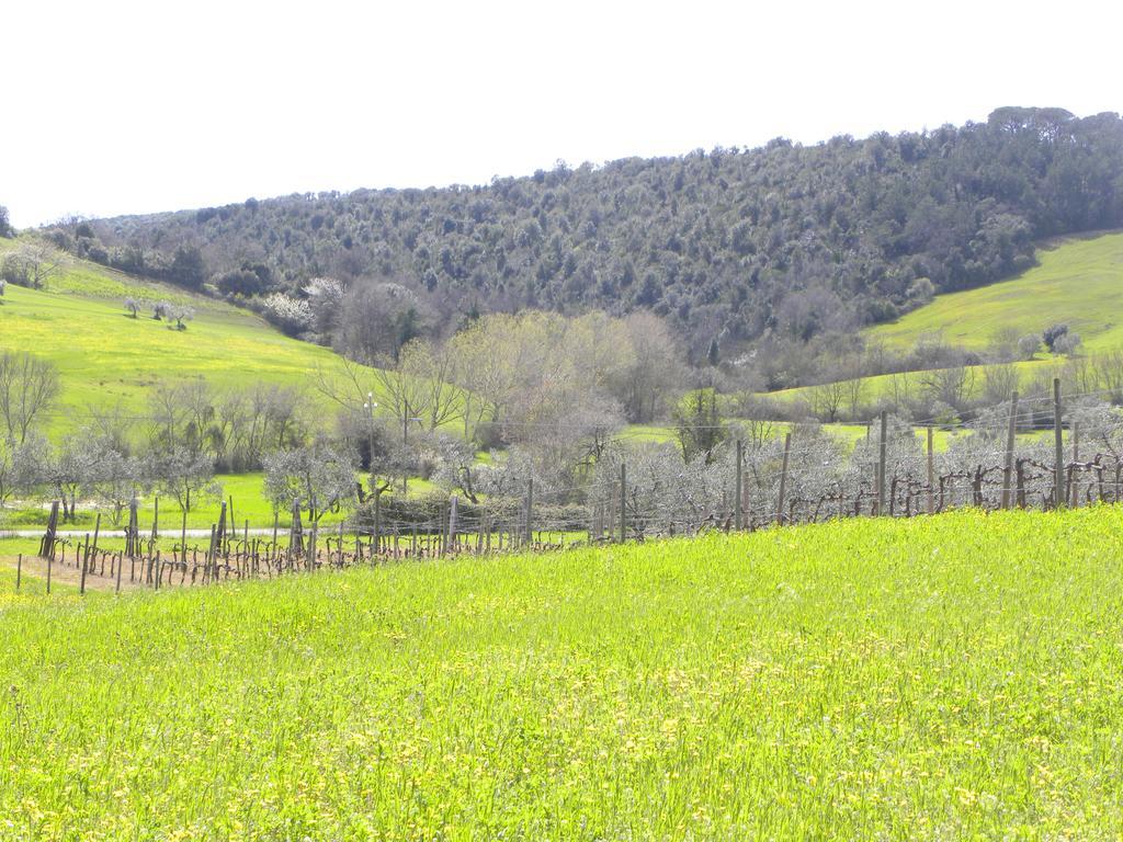 Agriristoro Podere S. Andrea マッサ・マリッティマ エクステリア 写真