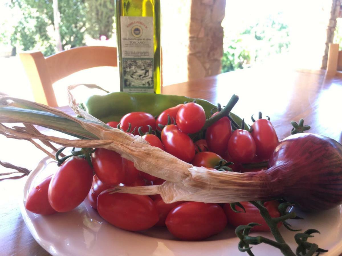 Agriristoro Podere S. Andrea マッサ・マリッティマ エクステリア 写真