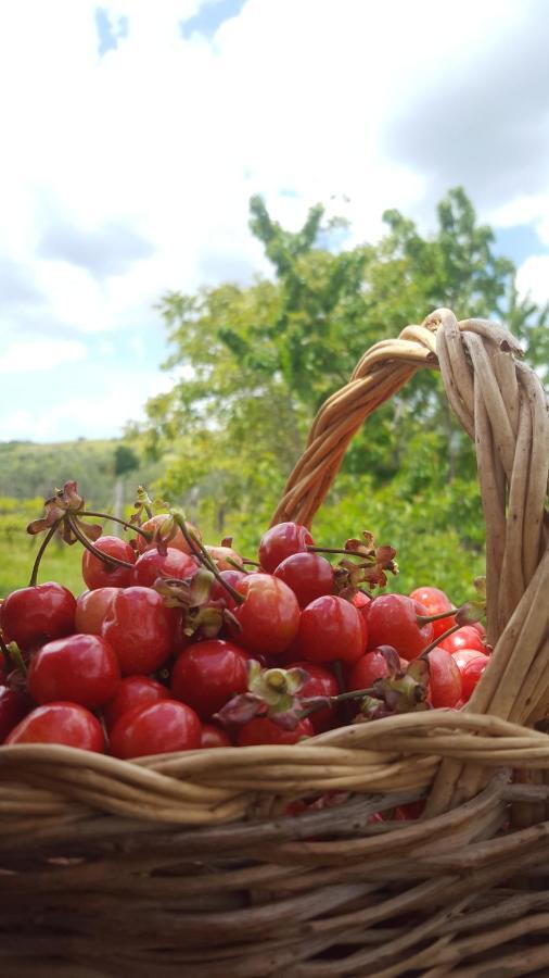 Agriristoro Podere S. Andrea マッサ・マリッティマ エクステリア 写真
